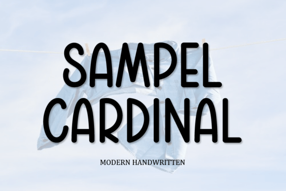 Sampel Cardinal: A Quirky Display Font for Bold Editorial Designs