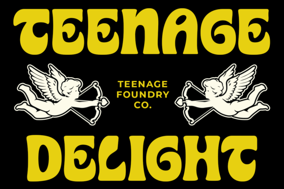 Teenage Delight Font for Bold Branding and Modern Design